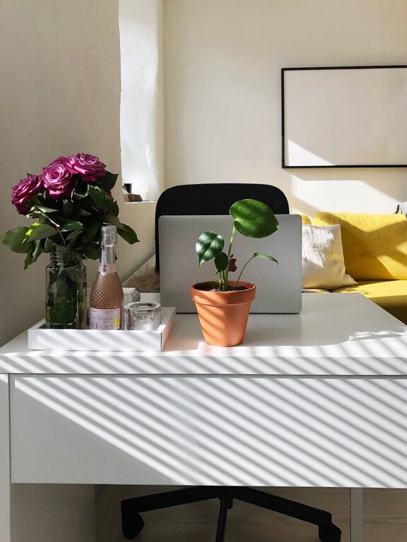 Tips for Creating a Cozy and Functional Workspace at Home